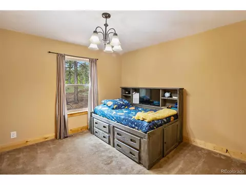 43 Lake Ct, Divide, CO 80814 photo 30