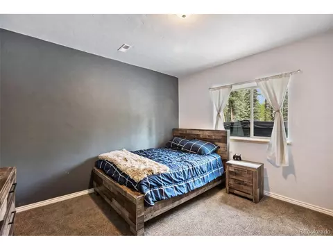 43 Lake Ct, Divide, CO 80814 photo 32