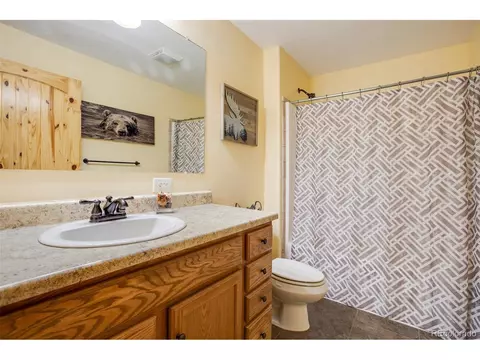 43 Lake Ct, Divide, CO 80814 photo 21