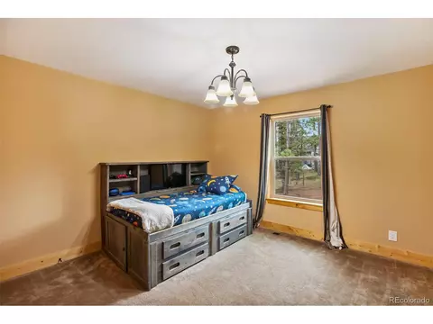 43 Lake Ct, Divide, CO 80814 photo 28