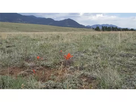 82 Sunset Crater Vw, Hartsel, CO 80449