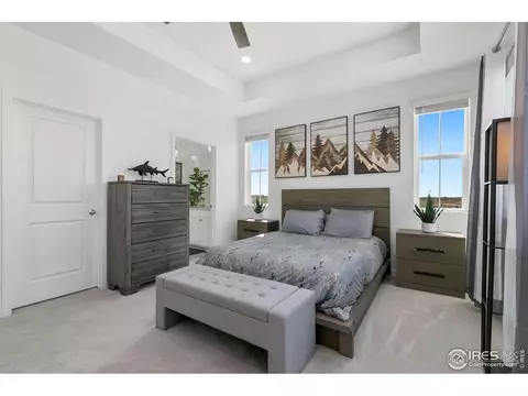 5406 Second Ave, Timnath, CO 80547 photo 22