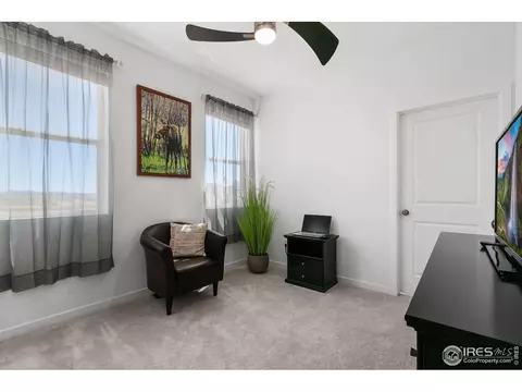 5406 Second Ave, Timnath, CO 80547 photo 35