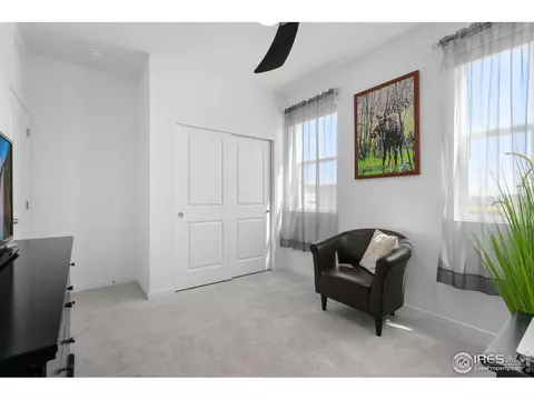 5406 Second Ave, Timnath, CO 80547 photo 36