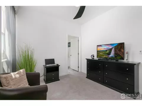 5406 Second Ave, Timnath, CO 80547 photo 34