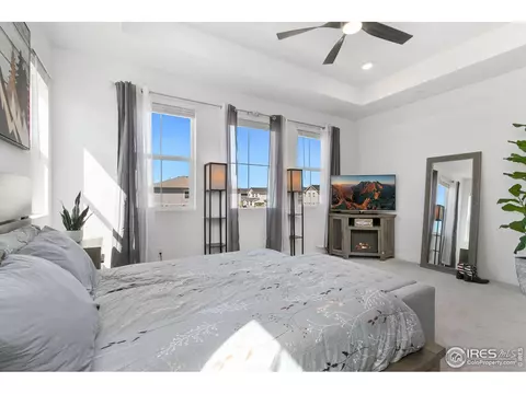 5406 Second Ave, Timnath, CO 80547 photo 23