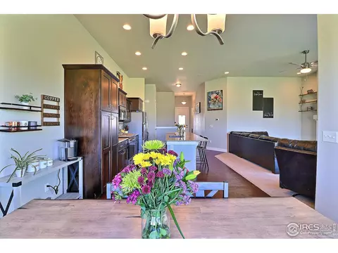 1404 Tahr Dr, Severance, CO 80550 photo 14