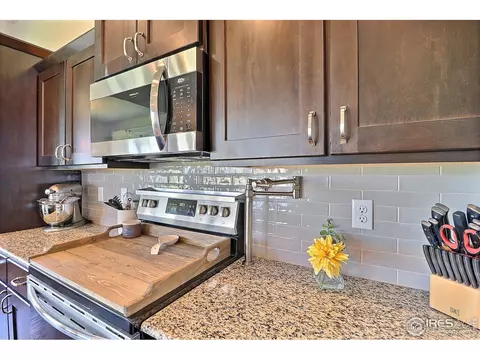 1404 Tahr Dr, Severance, CO 80550 photo 10