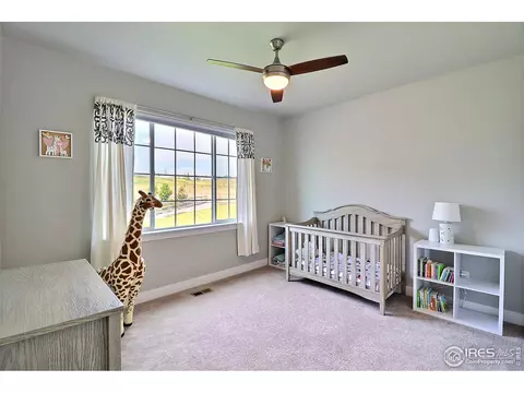 1404 Tahr Dr, Severance, CO 80550 photo 27