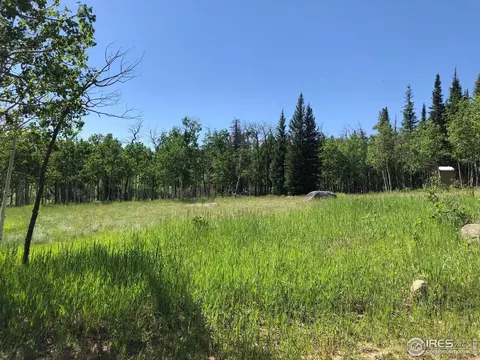 397 Tesuque Trl, Red Feather Lakes, CO 80545