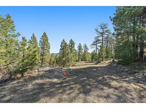 21467 Alta Dr, Morrison, CO 80465 photo 8