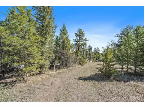 21467 Alta Dr, Morrison, CO 80465 photo 19