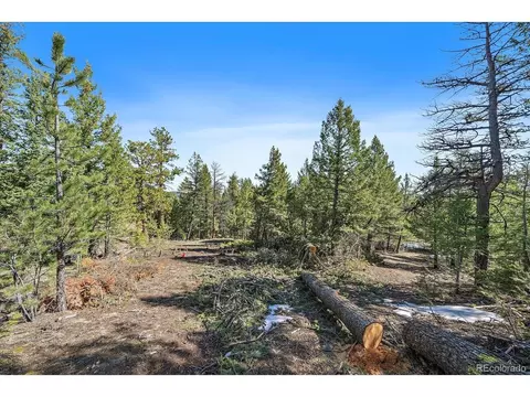 21467 Alta Dr, Morrison, CO 80465 photo 13