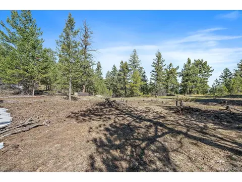 21467 Alta Dr, Morrison, CO 80465 photo 10