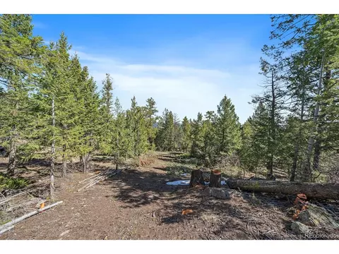 21467 Alta Dr, Morrison, CO 80465 photo 11