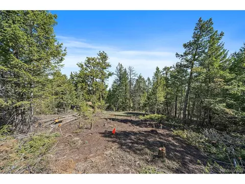 21467 Alta Dr, Morrison, CO 80465 photo 14