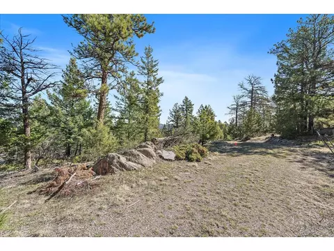 21467 Alta Dr, Morrison, CO 80465 photo 4