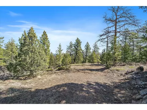 21467 Alta Dr, Morrison, CO 80465 photo 5