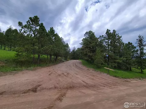 1 Mountain Lion Track Ct, Livermore, CO 80536