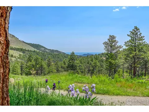493 County Road 83, Boulder, CO 80302 photo 2