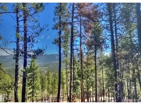 233 Renaud Rd, Bailey, CO 80421