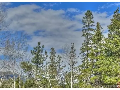 233 Renaud Rd, Bailey, CO 80421 photo 10