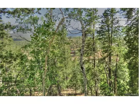 233 Renaud Rd, Bailey, CO 80421 photo 7