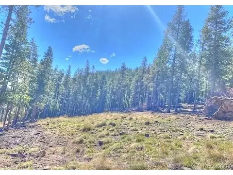 233 Renaud Rd, Bailey, CO 80421 photo 2