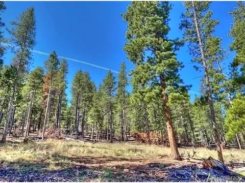 233 Renaud Rd, Bailey, CO 80421 photo 11