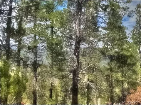 233 Renaud Rd, Bailey, CO 80421 photo 4