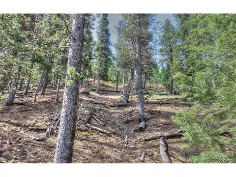 233 Renaud Rd, Bailey, CO 80421 photo 9