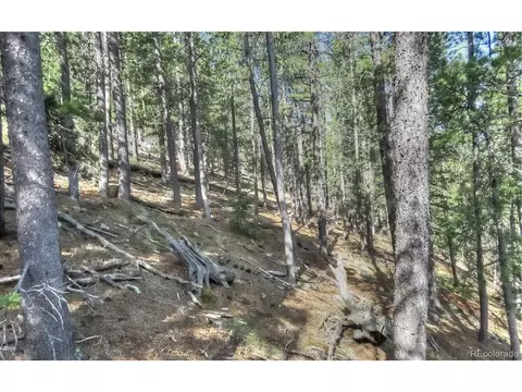 233 Renaud Rd, Bailey, CO 80421 photo 8