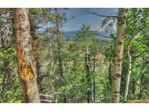 233 Renaud Rd, Bailey, CO 80421 photo 6