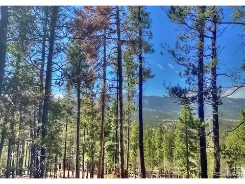 233 Renaud Rd, Bailey, CO 80421 photo 5