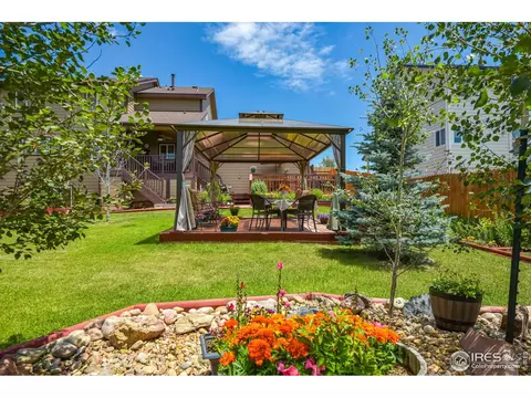 229 Timber Ridge Ct, Severance, CO 80550 photo 14