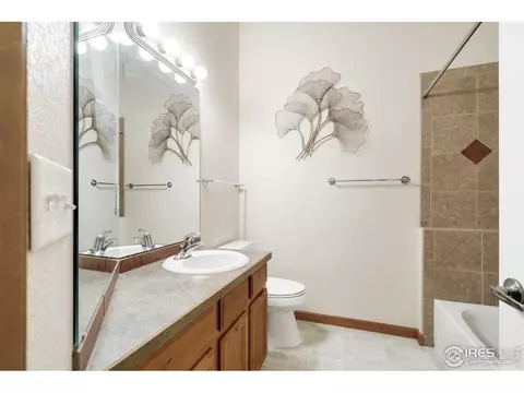 229 Timber Ridge Ct, Severance, CO 80550 photo 31