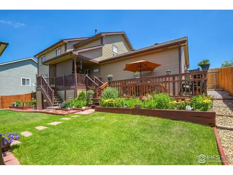 229 Timber Ridge Ct, Severance, CO 80550 photo 8