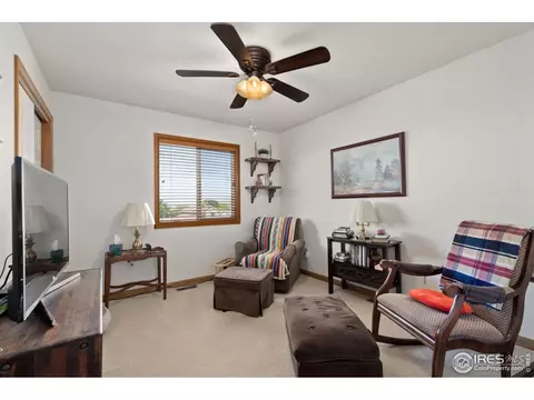 229 Timber Ridge Ct, Severance, CO 80550 photo 30