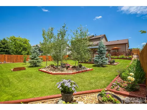 229 Timber Ridge Ct, Severance, CO 80550 photo 13