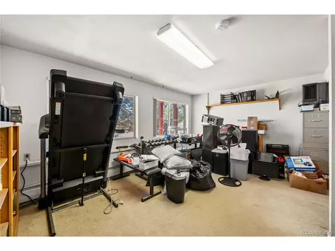 443 Harmon Dr, Cotopaxi, CO 81223 photo 21