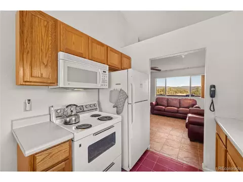 443 Harmon Dr, Cotopaxi, CO 81223 photo 8