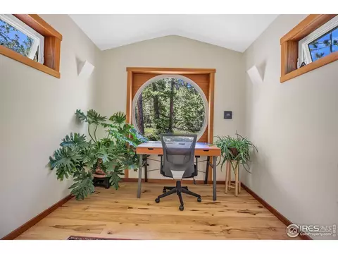 300 Ridge Rd, Ward, CO 80481 photo 26