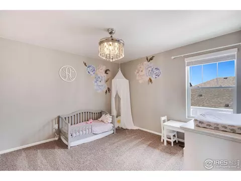 2038 Bouquet Dr, Windsor, CO 80550 photo 21