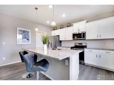 2038 Bouquet Dr, Windsor, CO 80550 photo 8