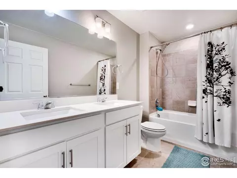2038 Bouquet Dr, Windsor, CO 80550 photo 25