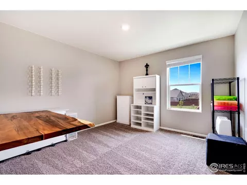 2038 Bouquet Dr, Windsor, CO 80550 photo 19