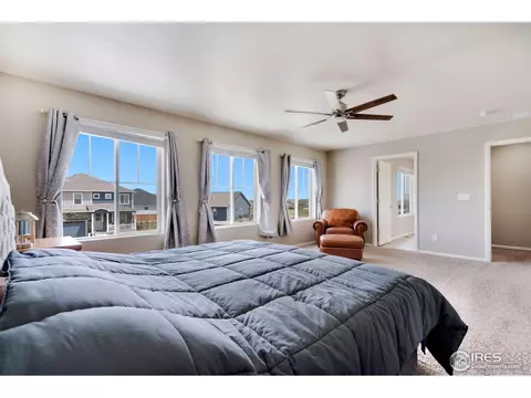 2038 Bouquet Dr, Windsor, CO 80550 photo 23