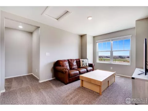 2038 Bouquet Dr, Windsor, CO 80550 photo 18