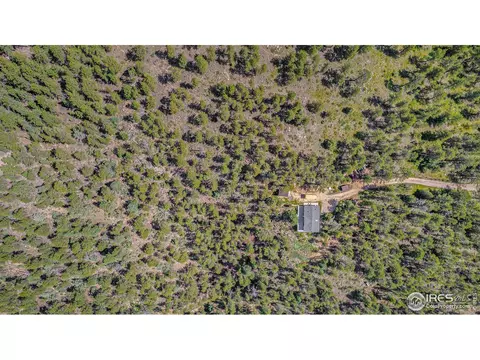 50 Pine Dr, Lyons, CO 80540 photo 27