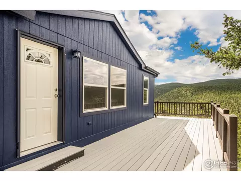 50 Pine Dr, Lyons, CO 80540 photo 19